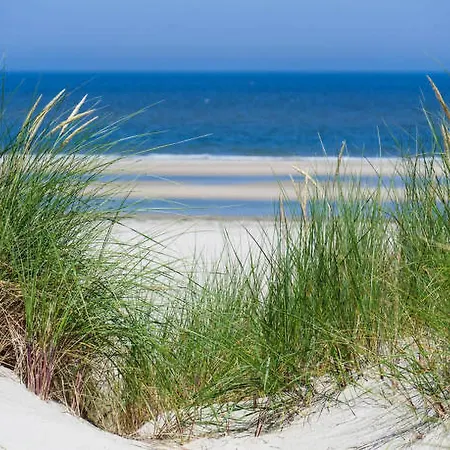Apartment L'ecrin Des Dunes Bray-Dunes